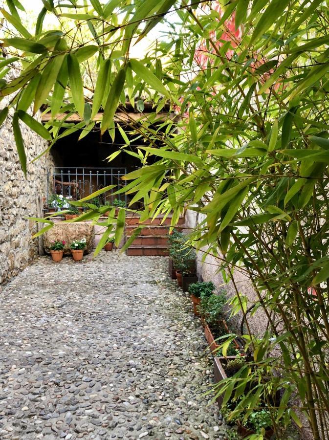 La Posada De Lola El Molar Exterior foto